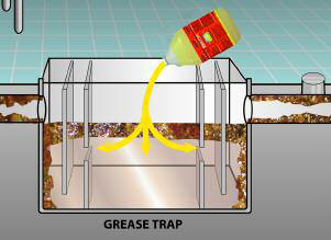 Bro-treet for Grease traps maintenance